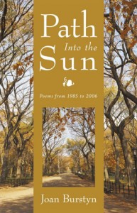 Path Into The Sun: Poems from 1985 to 2006